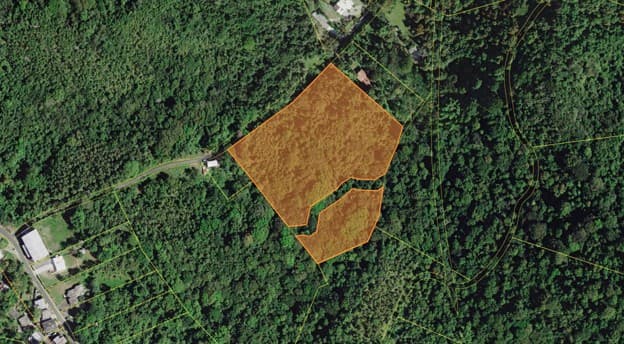 FINCA BO. CACAO, CAROLINA