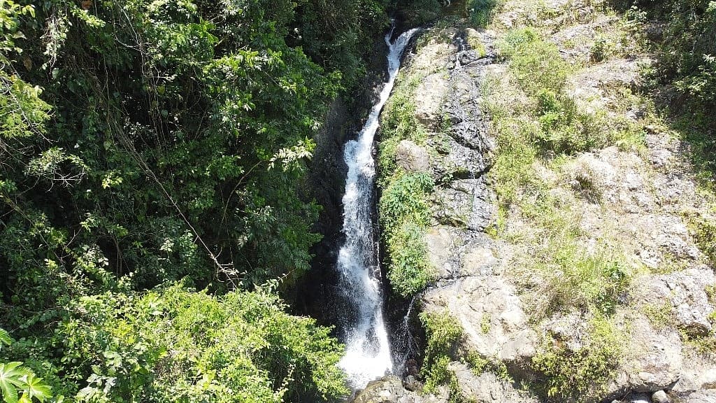HACIENDA EL REMANSO, CAGUAS